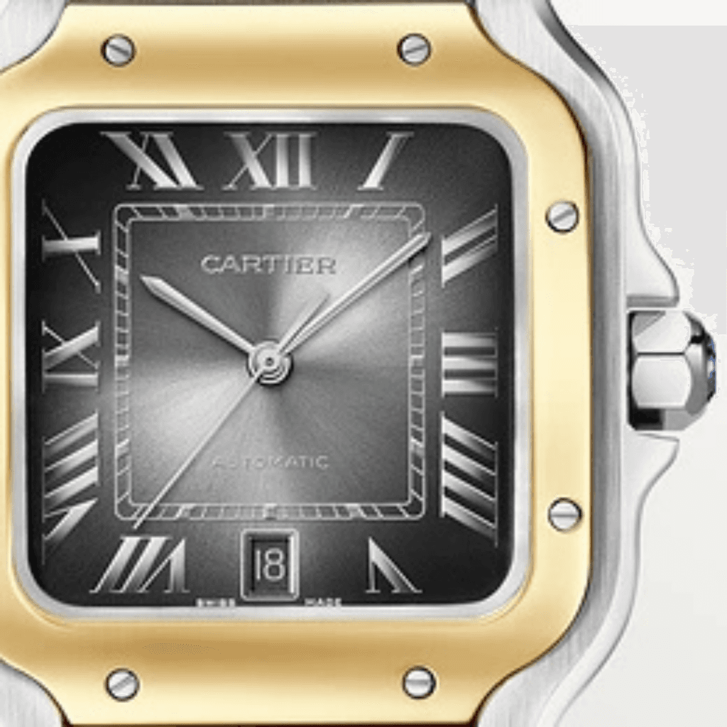 Cartier Santos de Cartier - W2SA0030 - #5
