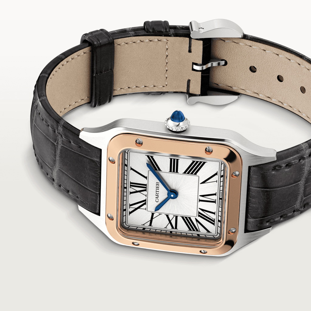Cartier Santos de Cartier Santos-Dumont - W2SA0038 - #10