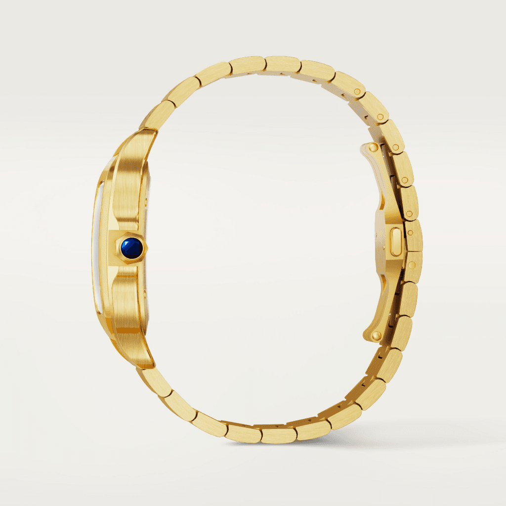 Cartier Santos de Cartier Skeleton - WHSA0042 - #4