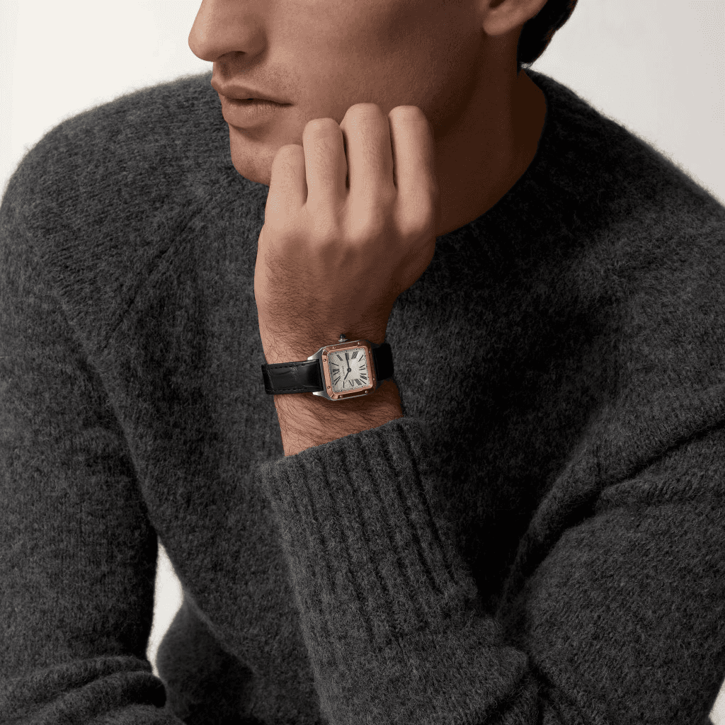 Cartier Santos de Cartier Santos-Dumont - W2SA0038 - #6