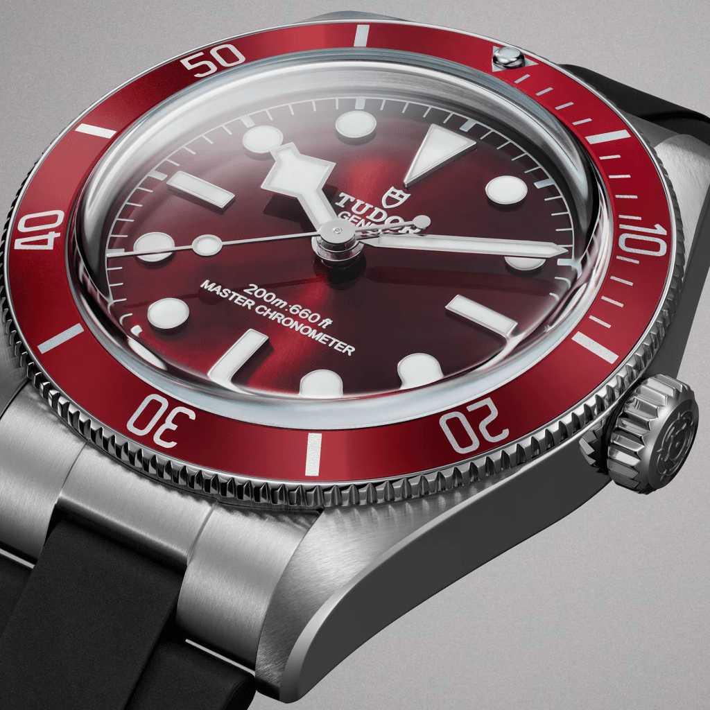 TUDOR Black Bay 58 39mm - 7939A1A0RU-0003 - #6