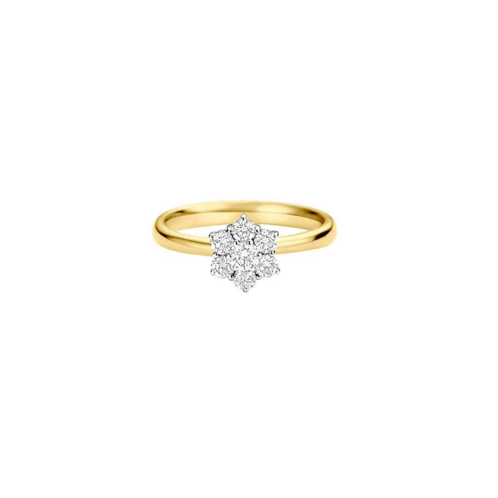 Schaap en Citroen Diamonds ring geelgoud met diamant - #2