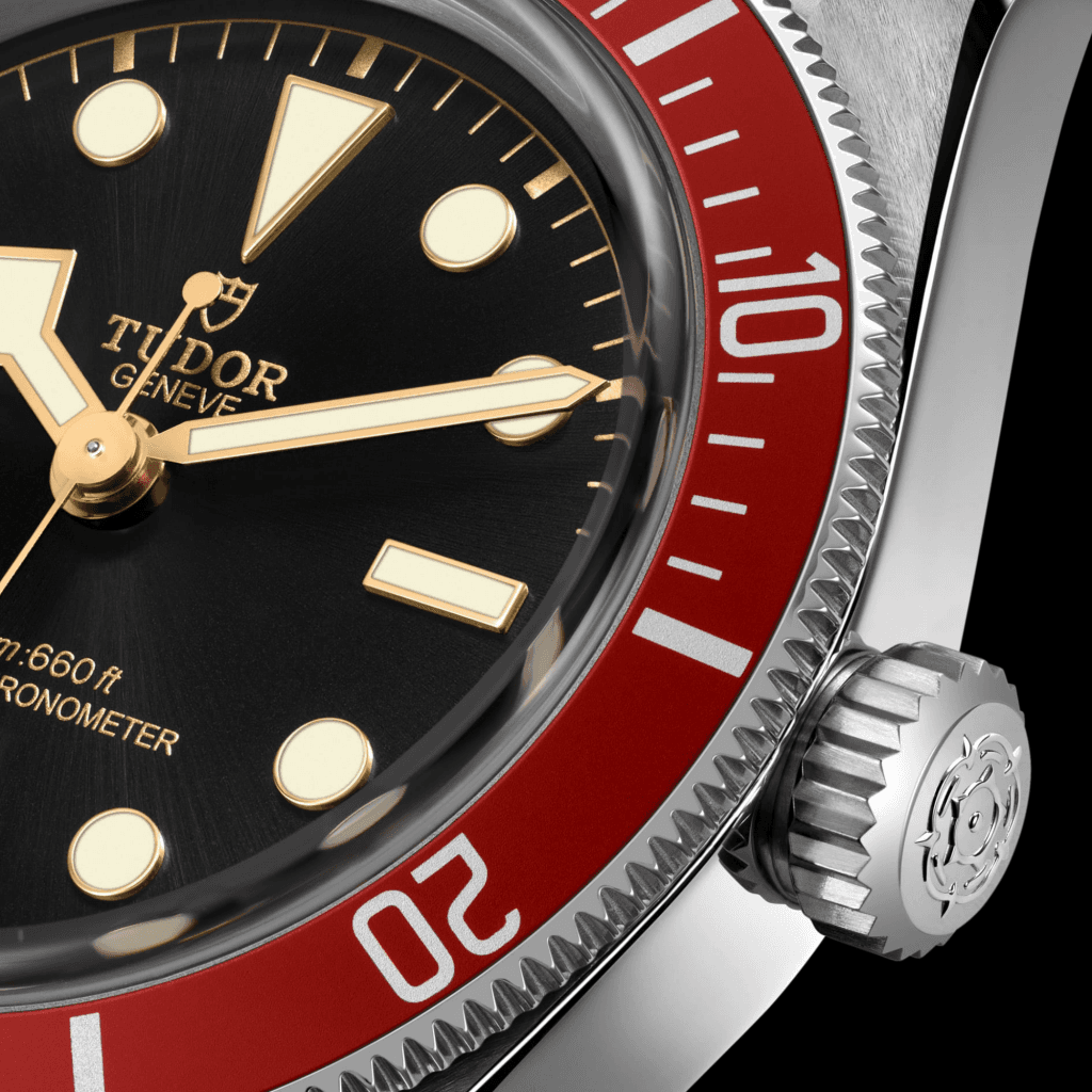 TUDOR Black Bay 41 41mm - 7941A1A0RU-0002 - #2