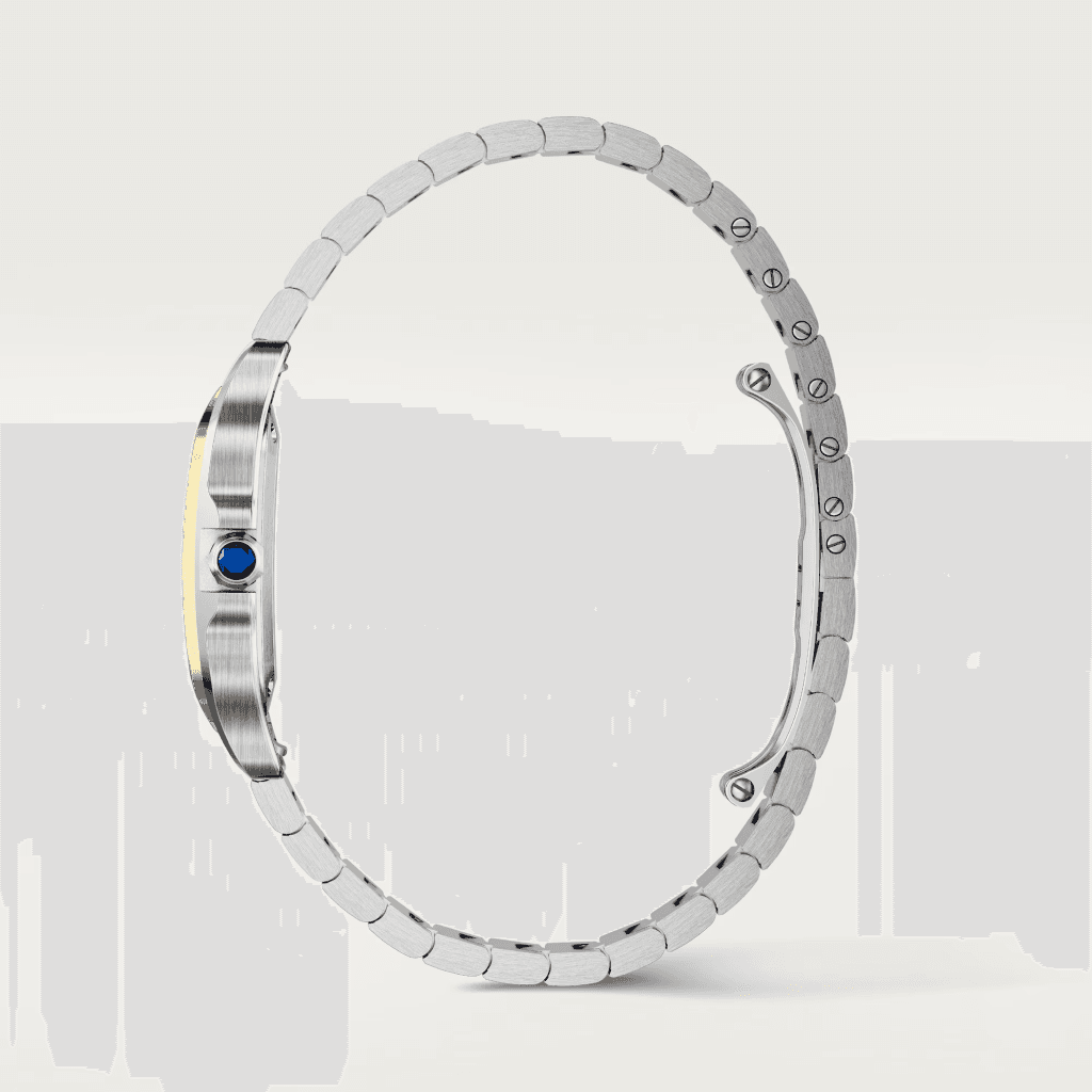 Cartier Santos de Cartier - W2SA0033 - #5