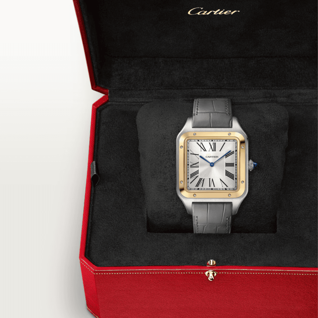 Cartier Santos de Cartier Santos-Dumont - W2SA0034 - #6
