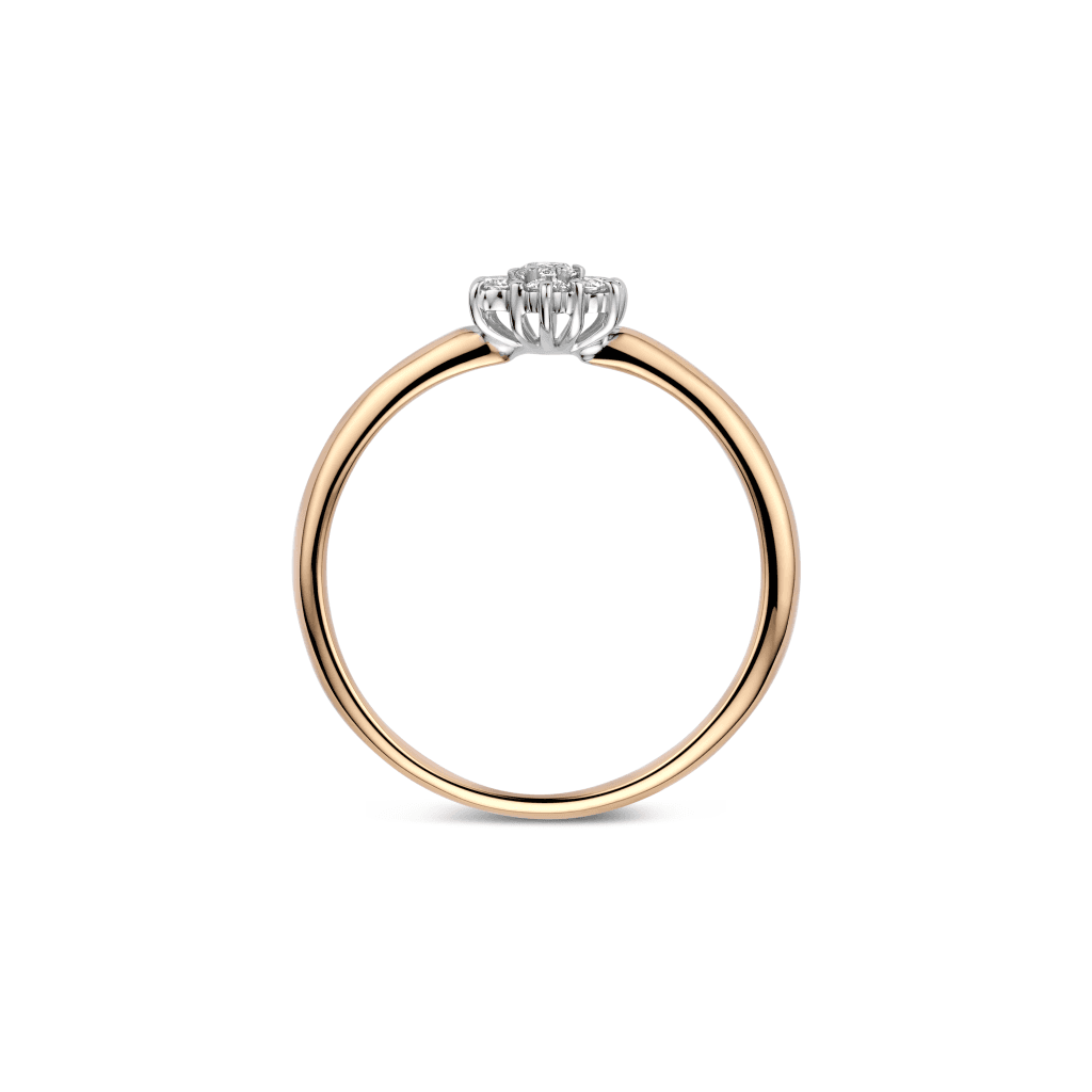 Schaap en Citroen Diamonds ring roodgoud met diamant - #3