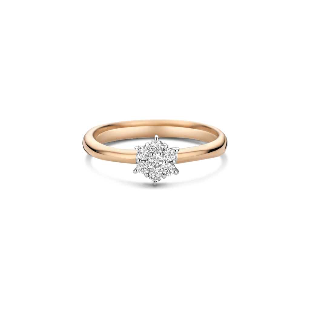 Schaap en Citroen Diamonds ring roodgoud met diamant - #2