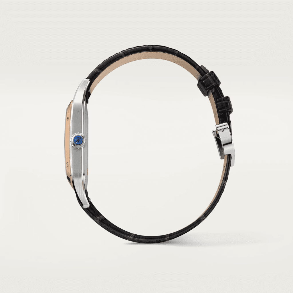 Cartier Santos de Cartier Santos-Dumont - W2SA0011 - #6