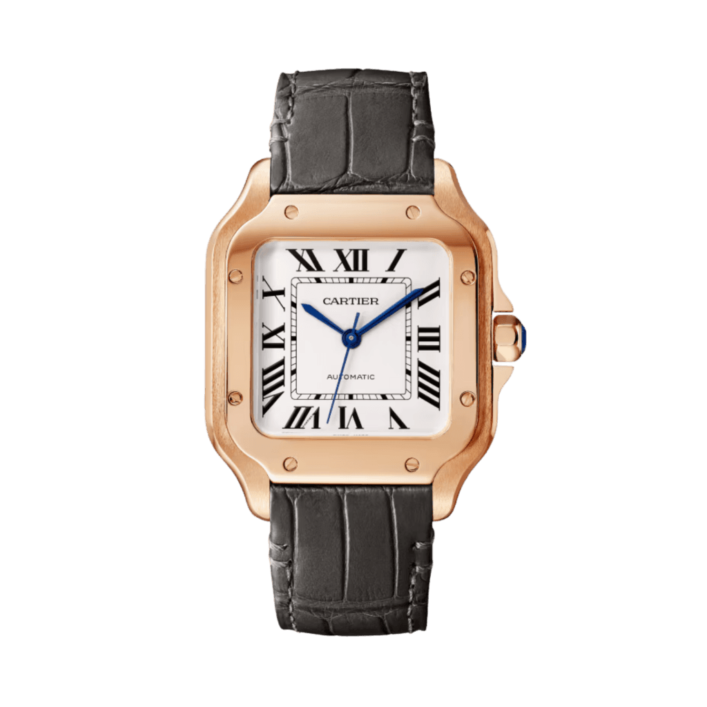 Cartier Santos de Cartier - WGSA0028 - #1