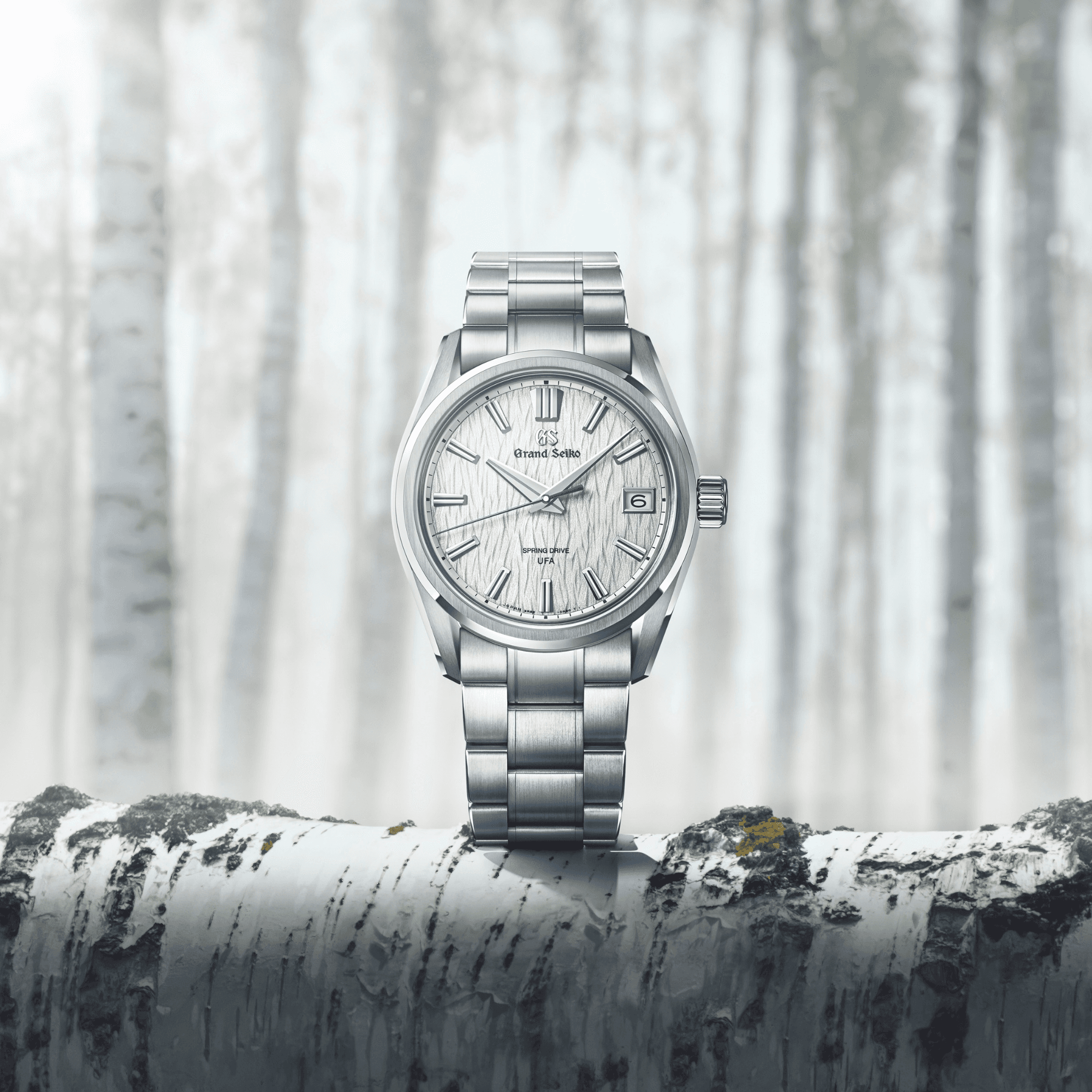 Grand Seiko Evolution 9 Birch 40mm - SLGB009G - #2