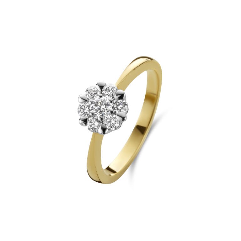 geel/wit goud entourage ring met diamant Schaap en Citroen Diamonds - #1