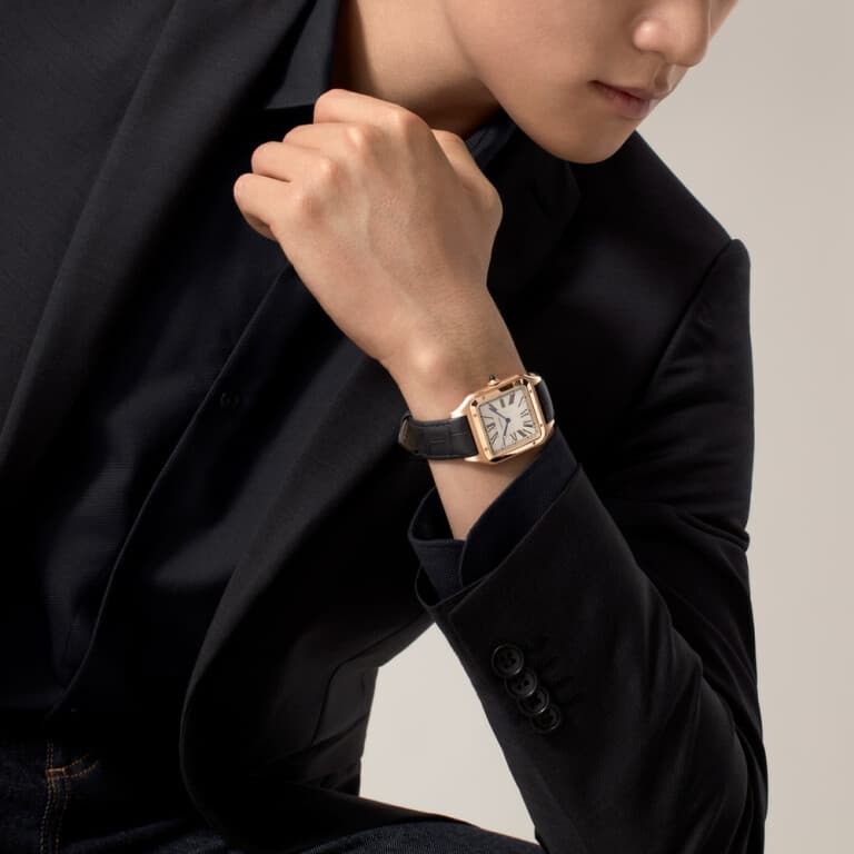 Cartier Santos de Cartier Santos-Dumont XL - WGSA0032 - #4