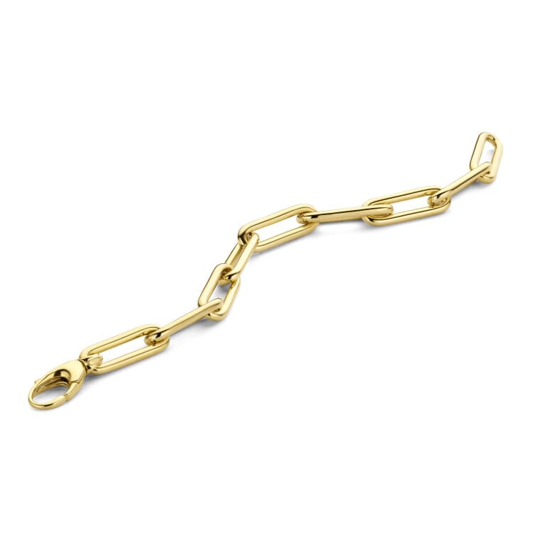 geelgoud schakel armband Schaap en Citroen Essentials - #2