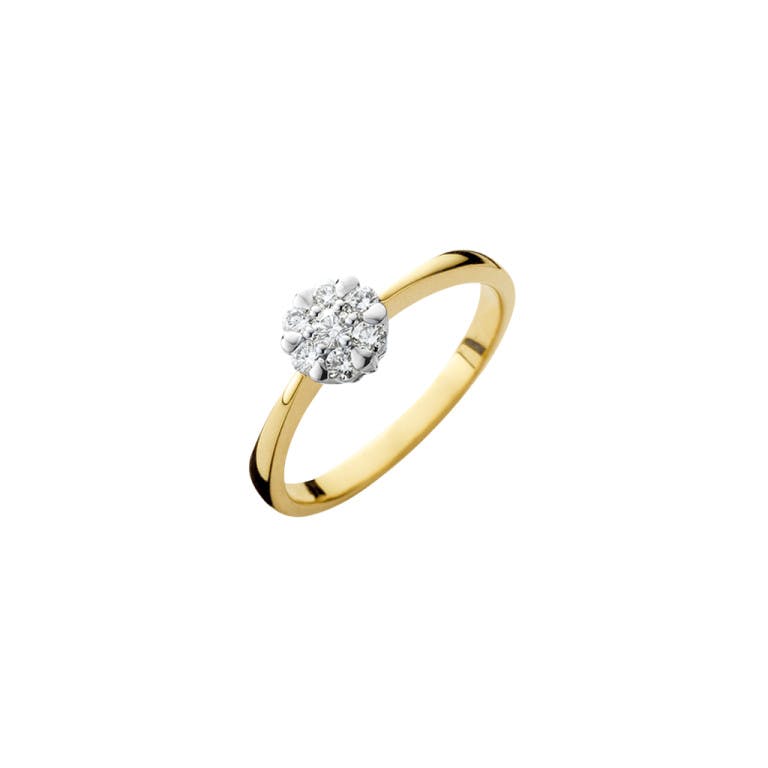 geel/wit goud entourage ring met diamant Schaap en Citroen Diamonds