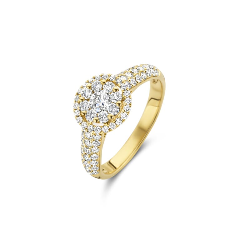 geelgoud ring met diamant Schaap en Citroen Diamonds