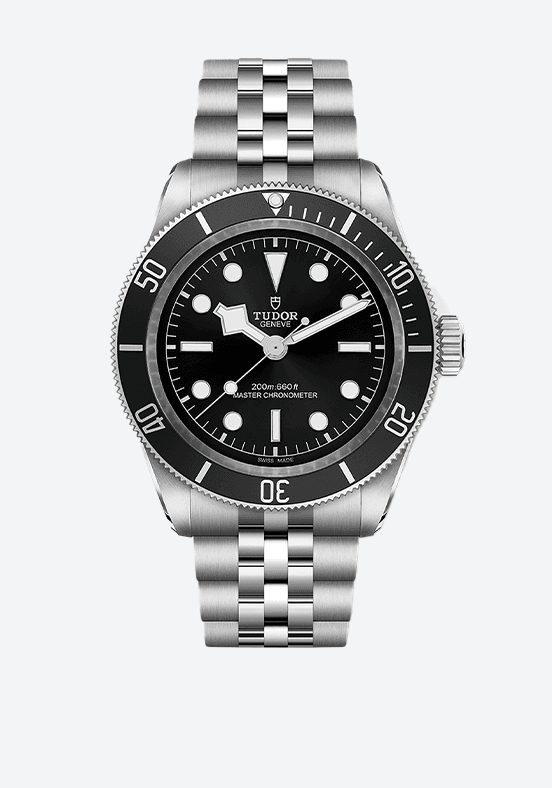 Tudor horloge 2025