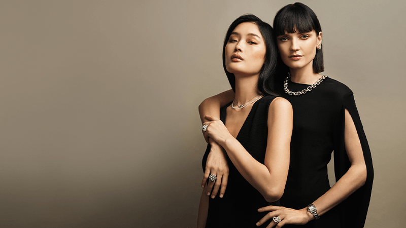 Schaap en Citroen Collection