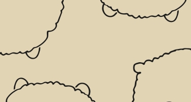 Product niet meer beschikbaar