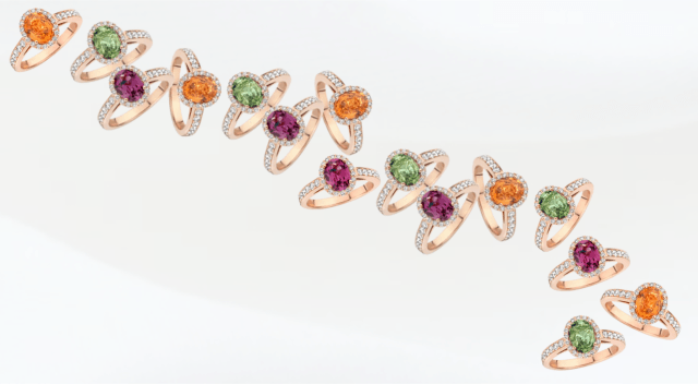 Schaap en Citroen Colours