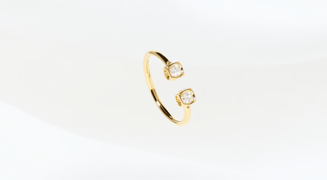 dinh van ring kopen? Luxe ringen