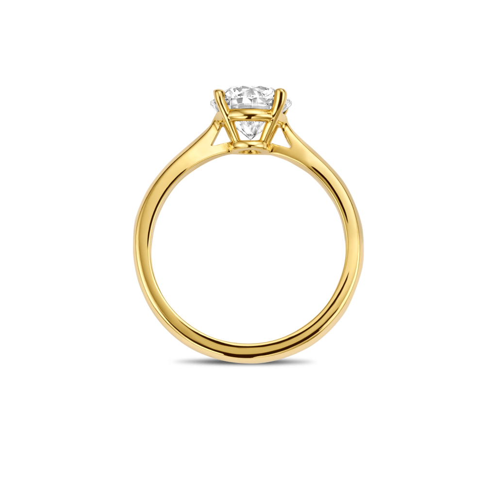 Schaap en Citroen Diamonds ring geelgoud met diamant - #4 Schaap en Citroen Diamonds ring geelgoud met diamant - #4