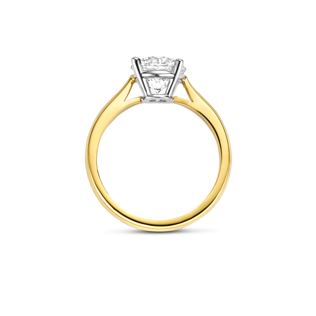 Schaap en Citroen Diamonds ring geelgoud met diamant - #4 Schaap en Citroen Diamonds ring geelgoud met diamant - #4
