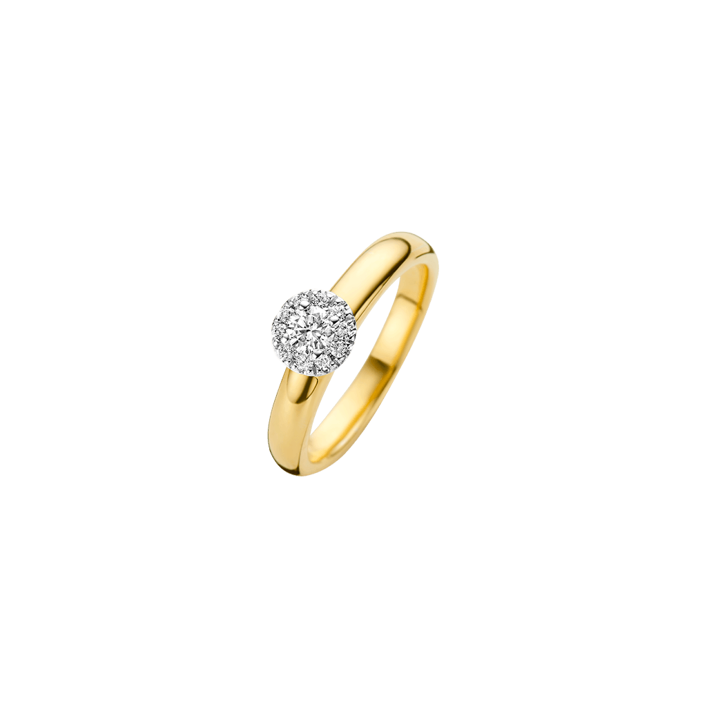Schaap en Citroen Diamonds ring geelgoud met diamant - #1 Schaap en Citroen Diamonds ring geelgoud met diamant - #1