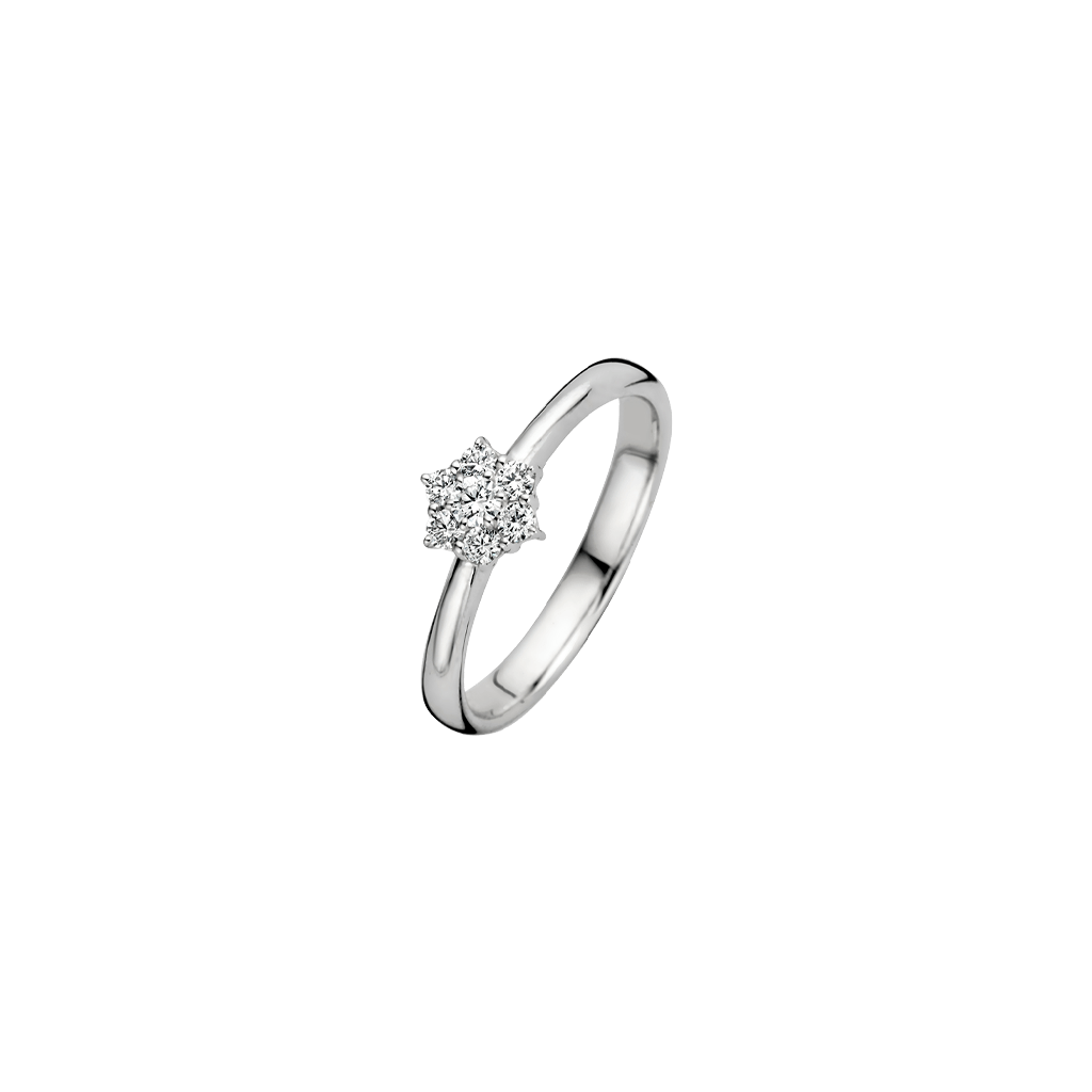Schaap en Citroen Diamonds ring witgoud met diamant - #1 Schaap en Citroen Diamonds ring witgoud met diamant - #1