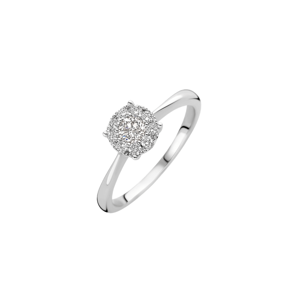 Diamonds Ring - Schaap en Citroen Diamonds Ring - Schaap en Citroen