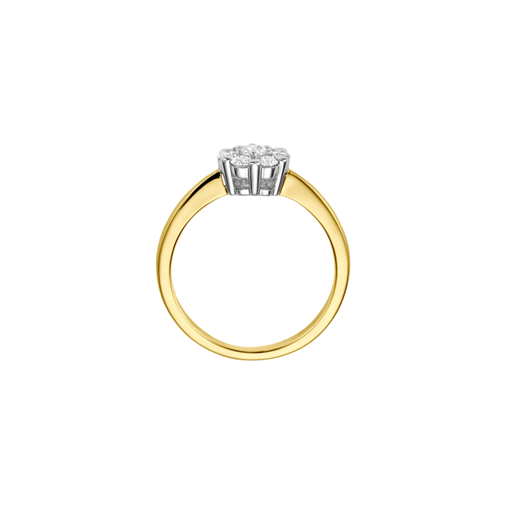 Schaap en Citroen Diamonds ring geelgoud met diamant - #3 Schaap en Citroen Diamonds ring geelgoud met diamant - #3