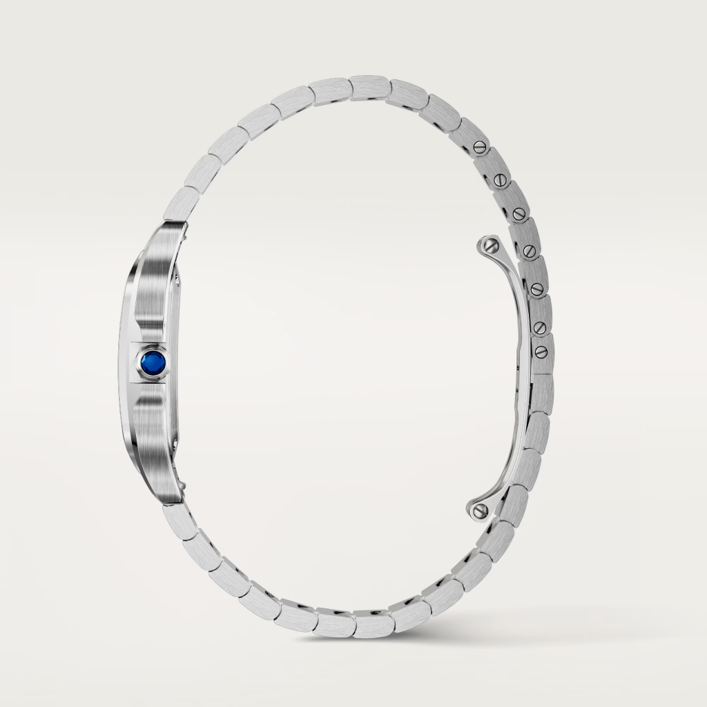 Cartier Santos De Cartier - WSSA0082 - #5 Cartier Santos De Cartier - WSSA0082 - #5
