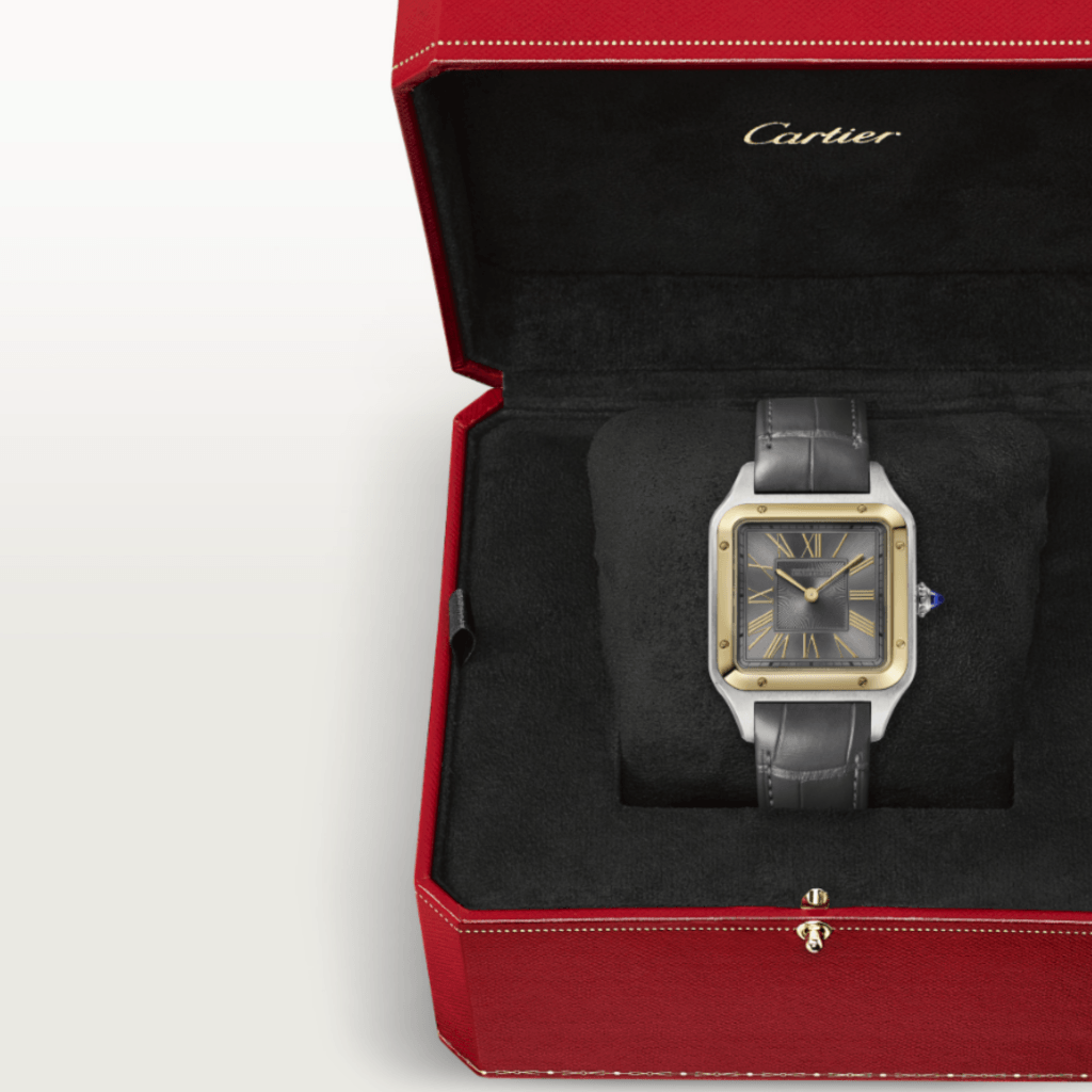 Cartier Santos De Cartier Santos Dumont - W2SA0028 - #7 Cartier Santos De Cartier Santos Dumont - W2SA0028 - #7