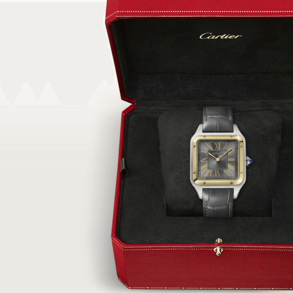 Cartier Santos De Cartier Santos Dumont - W2SA0036 - #6 Cartier Santos De Cartier Santos Dumont - W2SA0036 - #6
