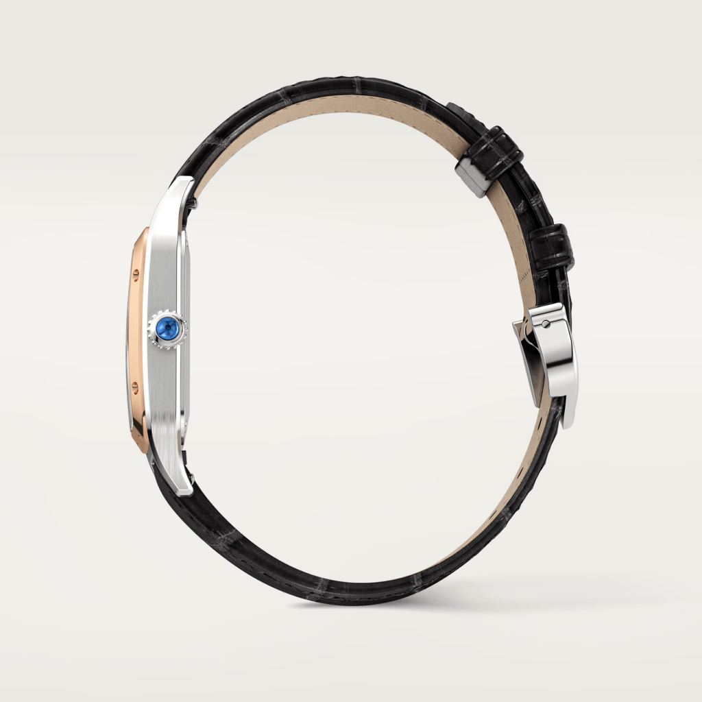 Cartier Santos De Cartier Santos Dumont - W2SA0038 - #9 Cartier Santos De Cartier Santos Dumont - W2SA0038 - #9