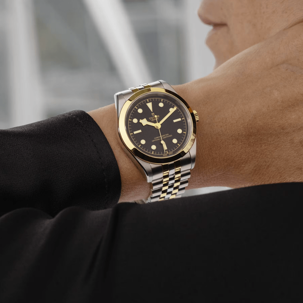 TUDOR Black Bay 39 S&G 39mm - 79663-0001 - #5 TUDOR Black Bay 39 S&G 39mm - 79663-0001 - #5