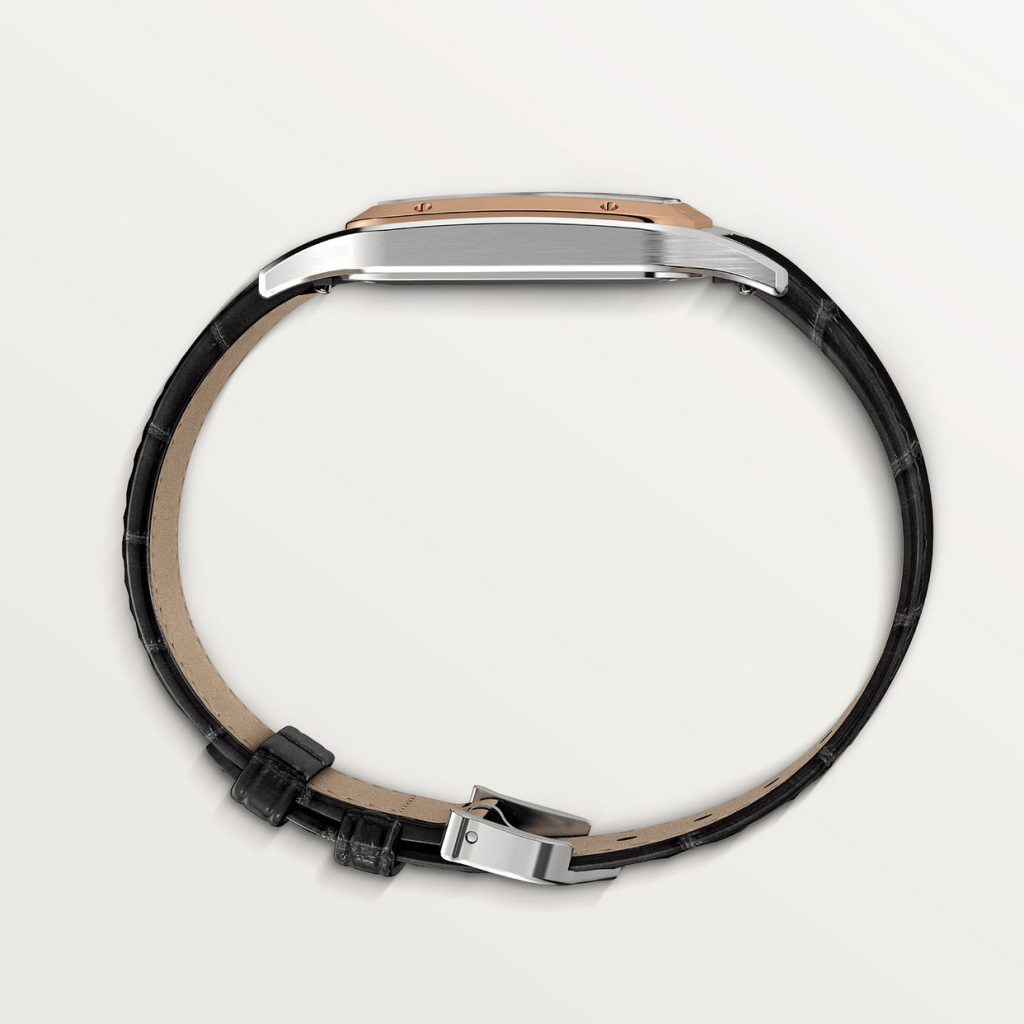 Cartier Santos De Cartier Santos Dumont - W2SA0037 - #6 Cartier Santos De Cartier Santos Dumont - W2SA0037 - #6