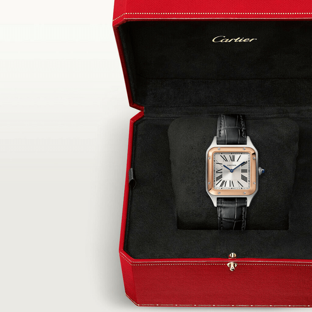 Cartier Santos De Cartier Santos Dumont - W2SA0038 - #7 Cartier Santos De Cartier Santos Dumont - W2SA0038 - #7