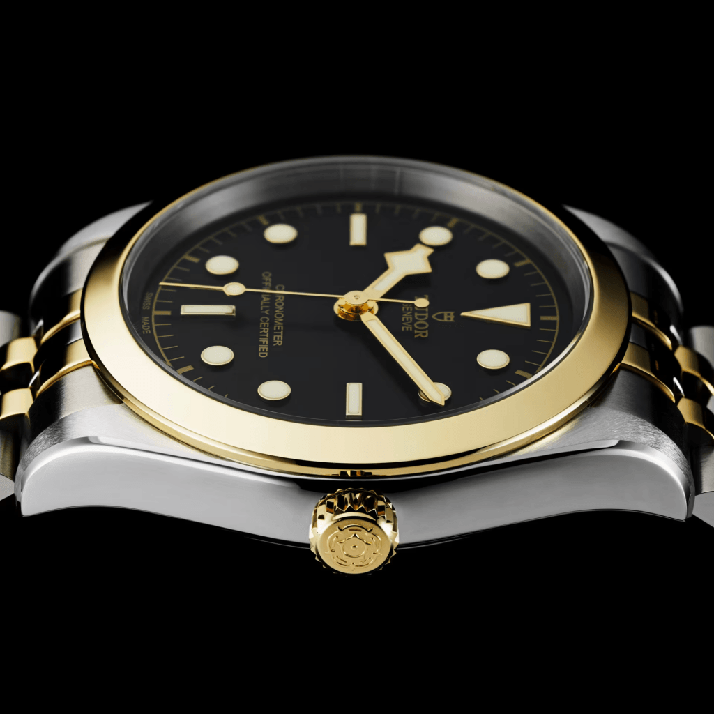 TUDOR Black Bay 39 S&G 39mm - 79663-0001 - #3 TUDOR Black Bay 39 S&G 39mm - 79663-0001 - #3