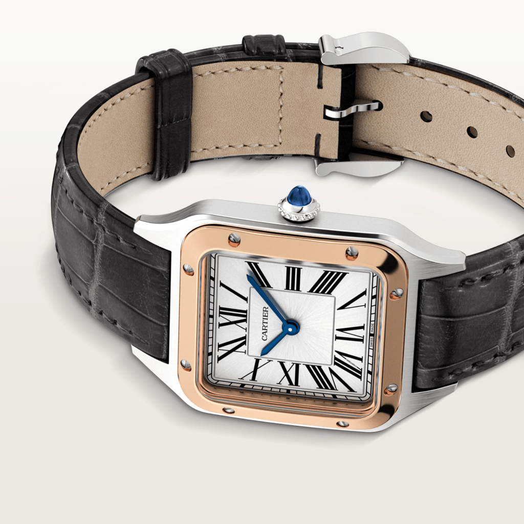 Cartier Santos De Cartier Santos Dumont - W2SA0038 - #10 Cartier Santos De Cartier Santos Dumont - W2SA0038 - #10