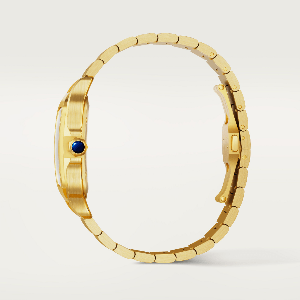 Cartier Santos De Cartier Skeleton - WHSA0042 - #4 Cartier Santos De Cartier Skeleton - WHSA0042 - #4