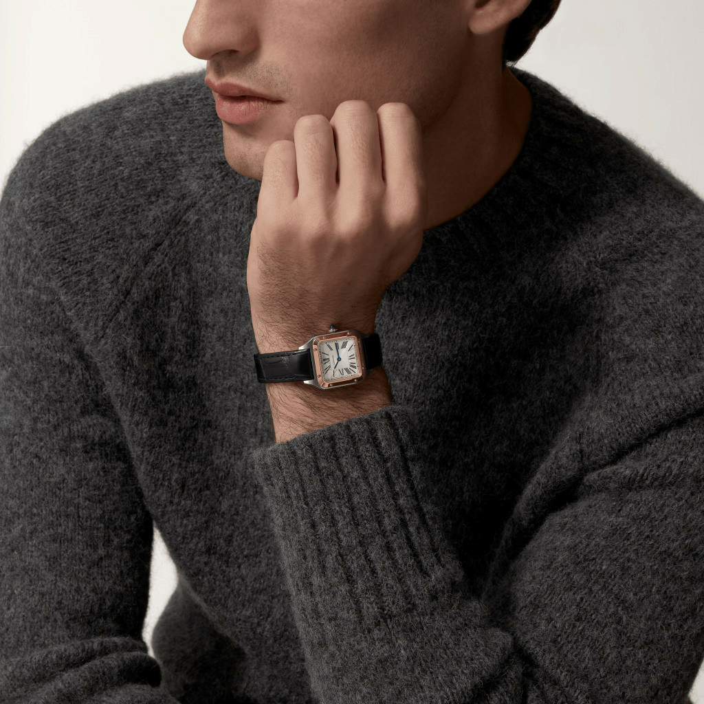 Cartier Santos De Cartier Santos Dumont - W2SA0038 - #6 Cartier Santos De Cartier Santos Dumont - W2SA0038 - #6