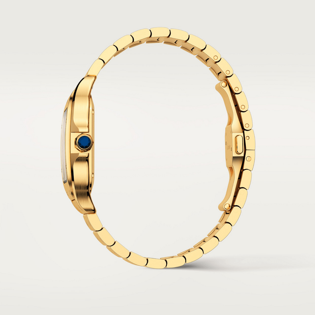 Cartier Santos De Cartier - WGSA0030 - #5 Cartier Santos De Cartier - WGSA0030 - #5