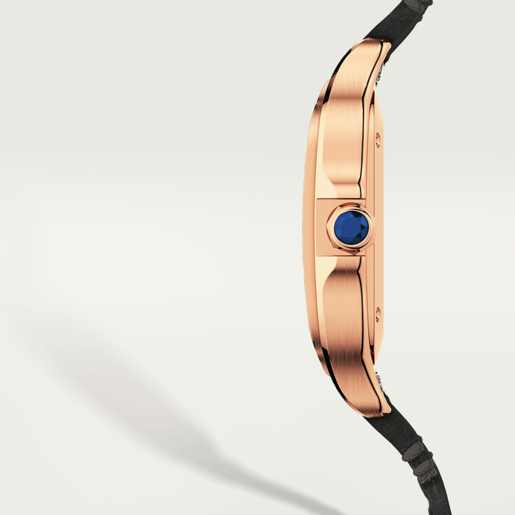 Cartier Santos De Cartier - WGSA0028 - #4 Cartier Santos De Cartier - WGSA0028 - #4
