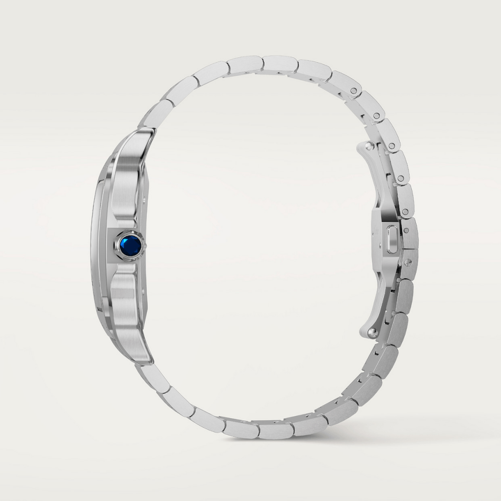 Cartier Santos De Cartier - WSSA0071 - #6 Cartier Santos De Cartier - WSSA0071 - #6