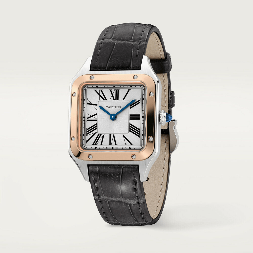 Cartier Santos De Cartier Santos Dumont - W2SA0038 - #3 Cartier Santos De Cartier Santos Dumont - W2SA0038 - #3