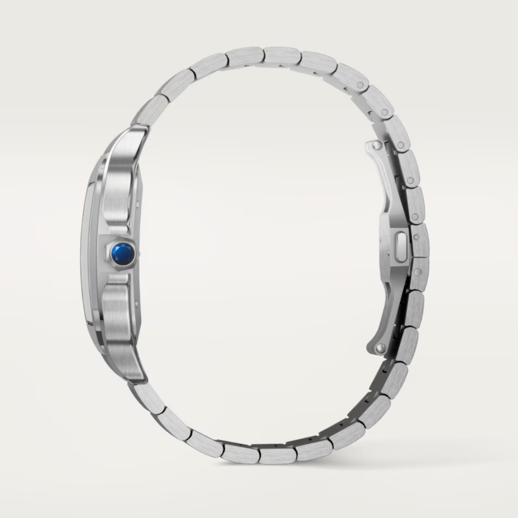 Cartier Santos De Cartier - WSSA0096 - #6 Cartier Santos De Cartier - WSSA0096 - #6