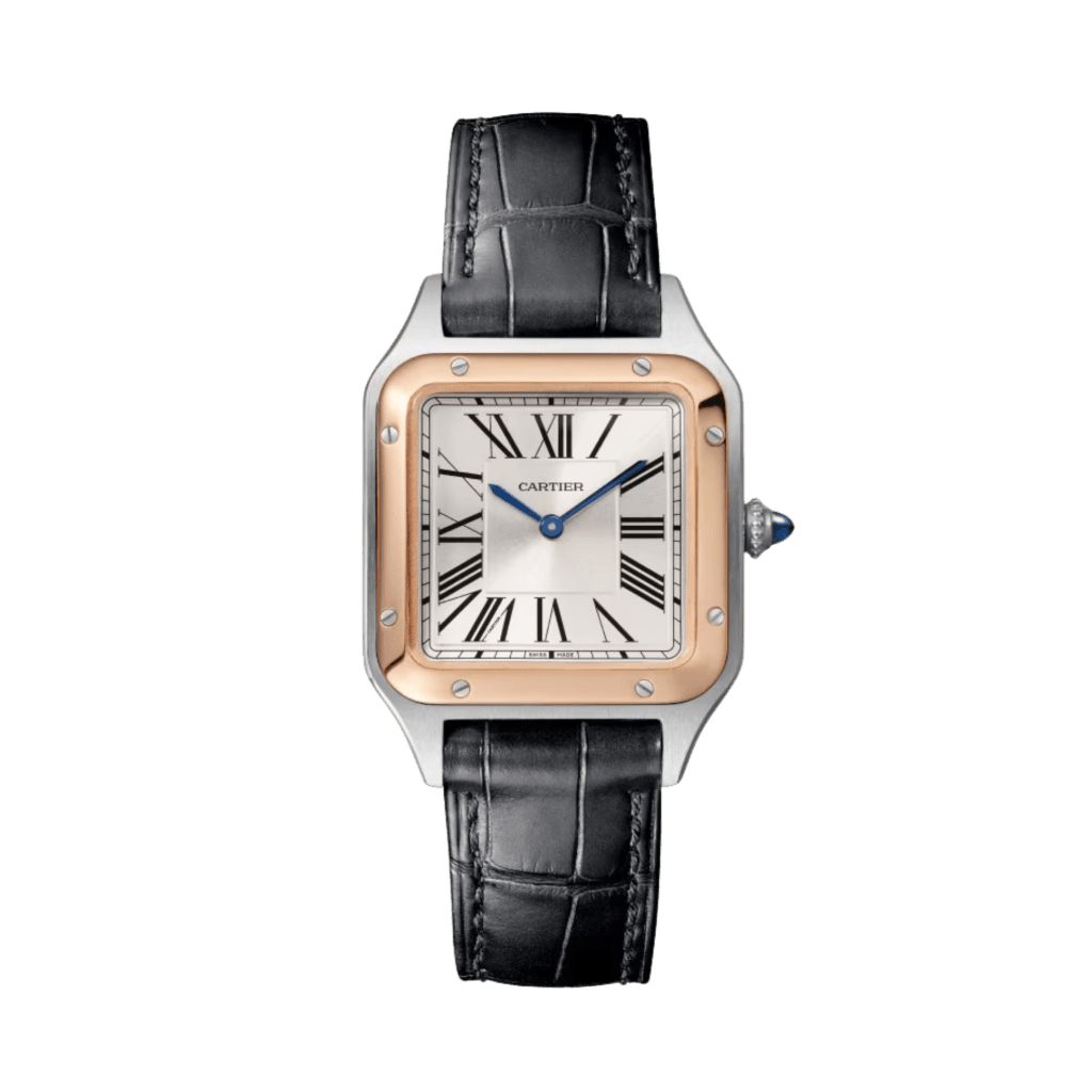 Cartier Santos De Cartier Santos Dumont - W2SA0038 - #1 Cartier Santos De Cartier Santos Dumont - W2SA0038 - #1