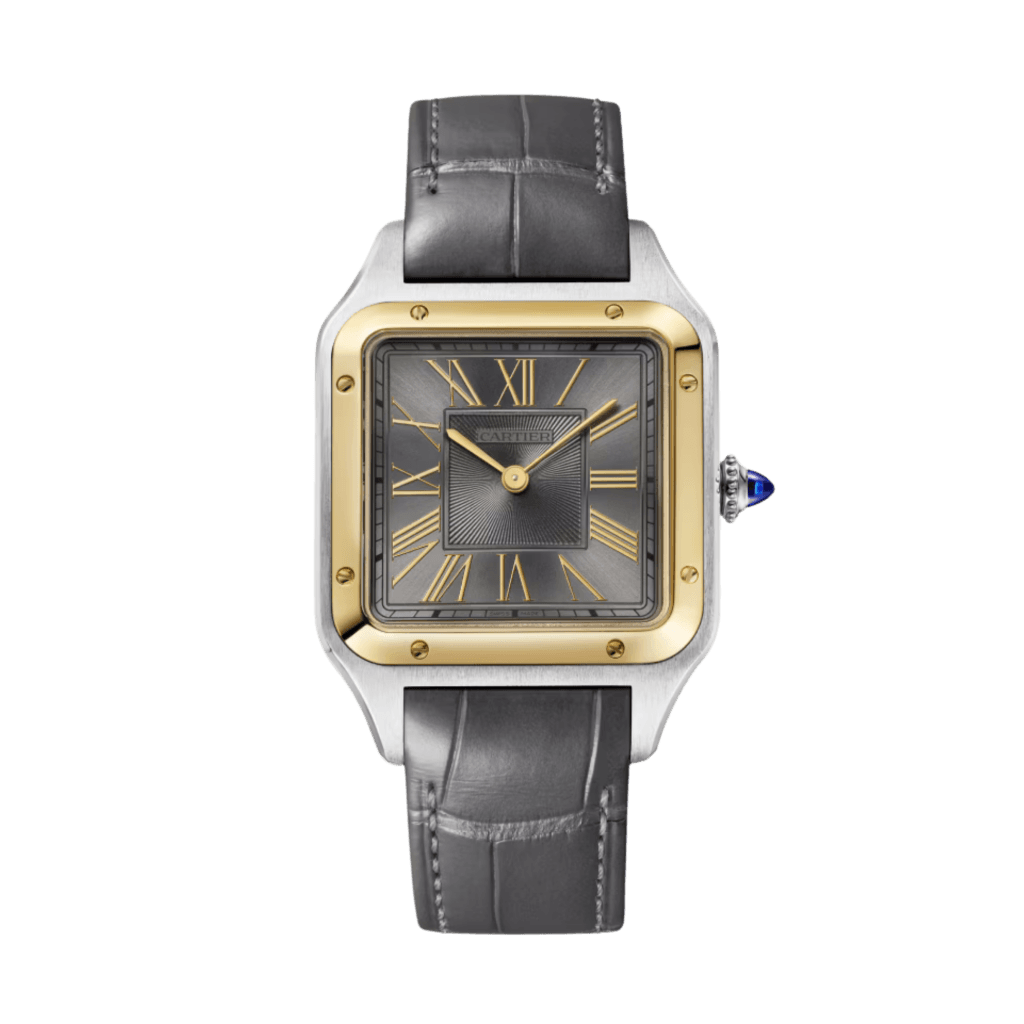 Cartier Santos De Cartier Santos Dumont - W2SA0036 - #1 Cartier Santos De Cartier Santos Dumont - W2SA0036 - #1