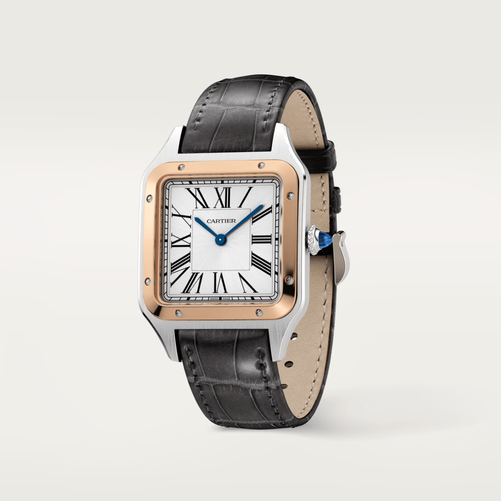 Cartier Santos De Cartier Santos Dumont - W2SA0011 - #3 Cartier Santos De Cartier Santos Dumont - W2SA0011 - #3