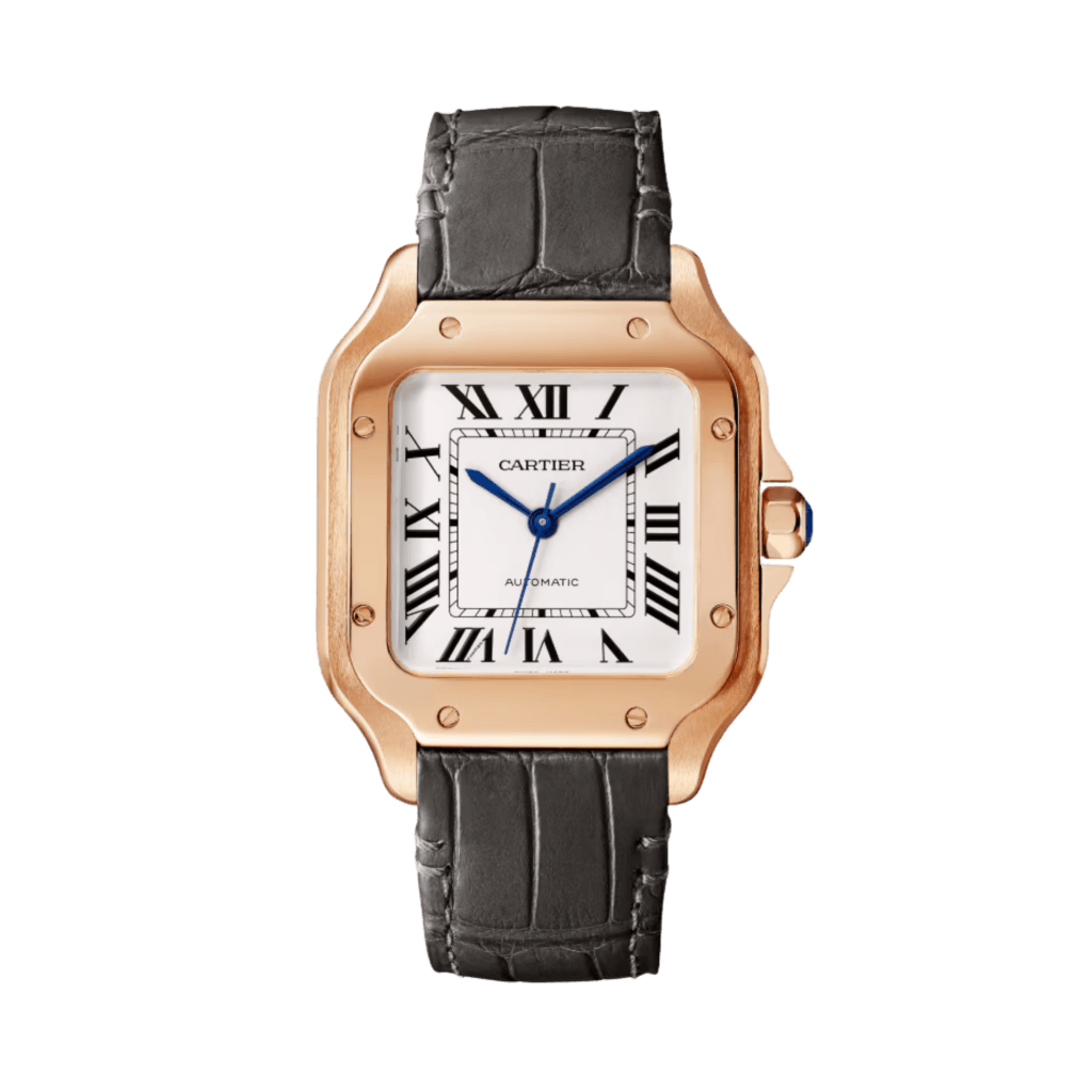 Cartier Santos De Cartier - WGSA0028 - #1 Cartier Santos De Cartier - WGSA0028 - #1